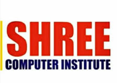 Shree Computer  Institute